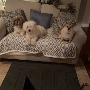 Meet your Posher, Kirst